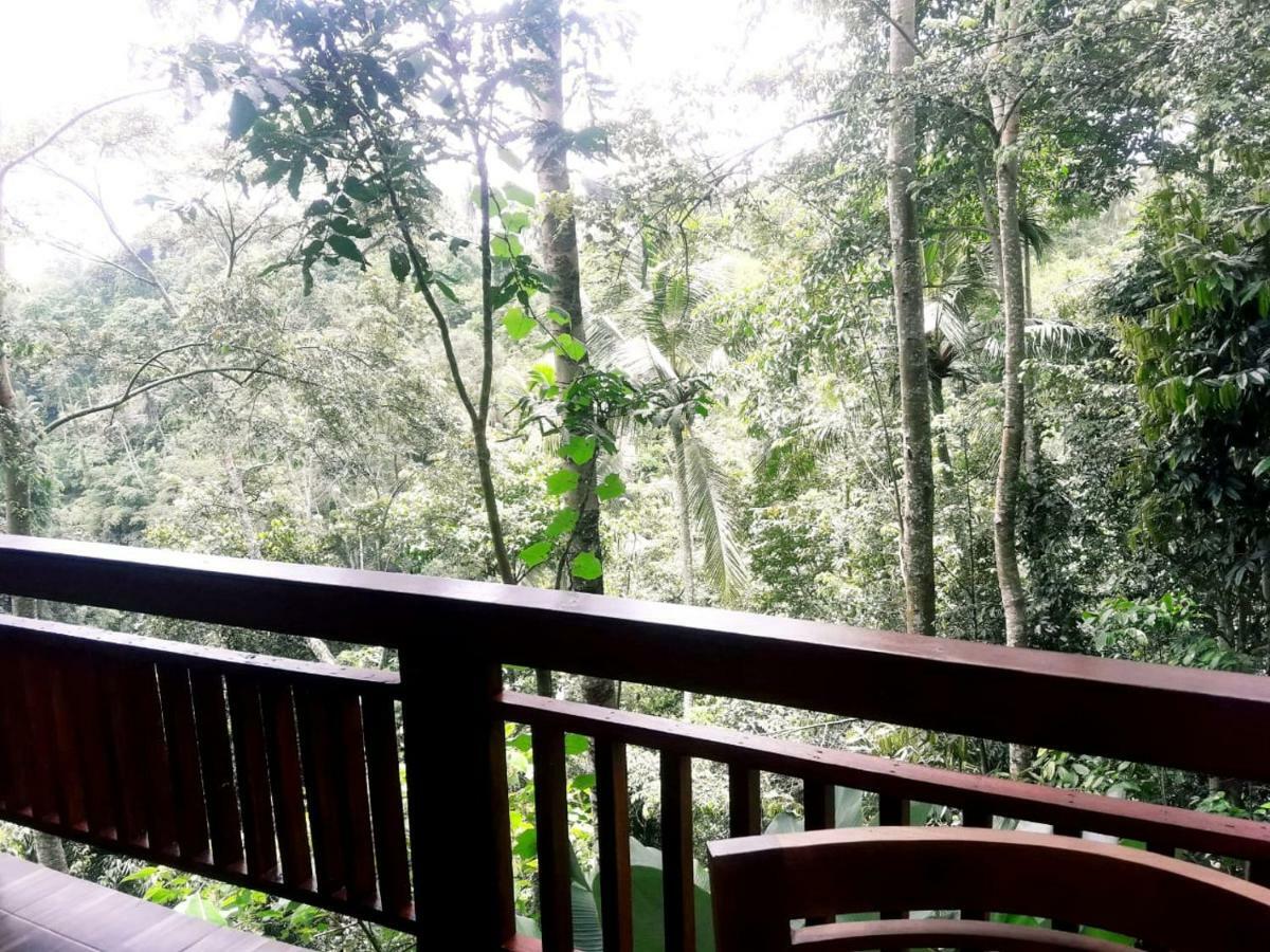 Hôtel Ubud River Side House Extérieur photo